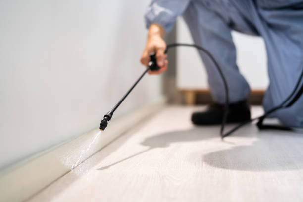 Licensed Cockroach Control service in Montz, LA - Nex Pest Control