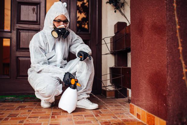 Reliable Cockroach Control contractor in Montz, LA by Nex Pest Control