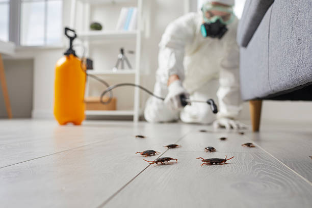 Trusted Cockroach Control service in Montz, LA - Nex Pest Control